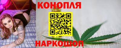прущие грибы Можайск