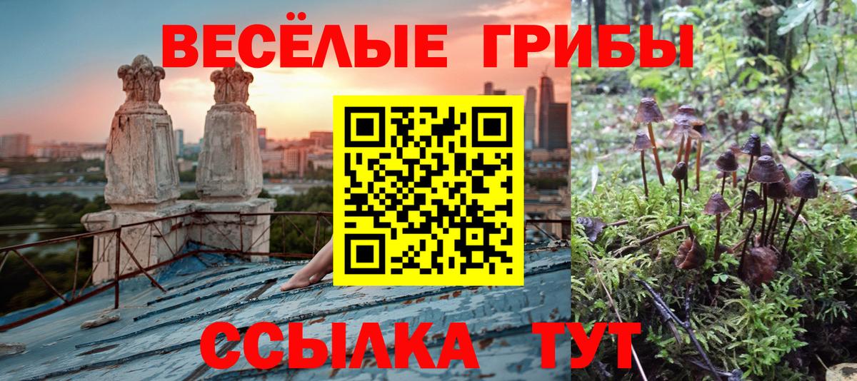 Выкса  Псилоцибиновые грибы Cubensis  Вход с VPN 